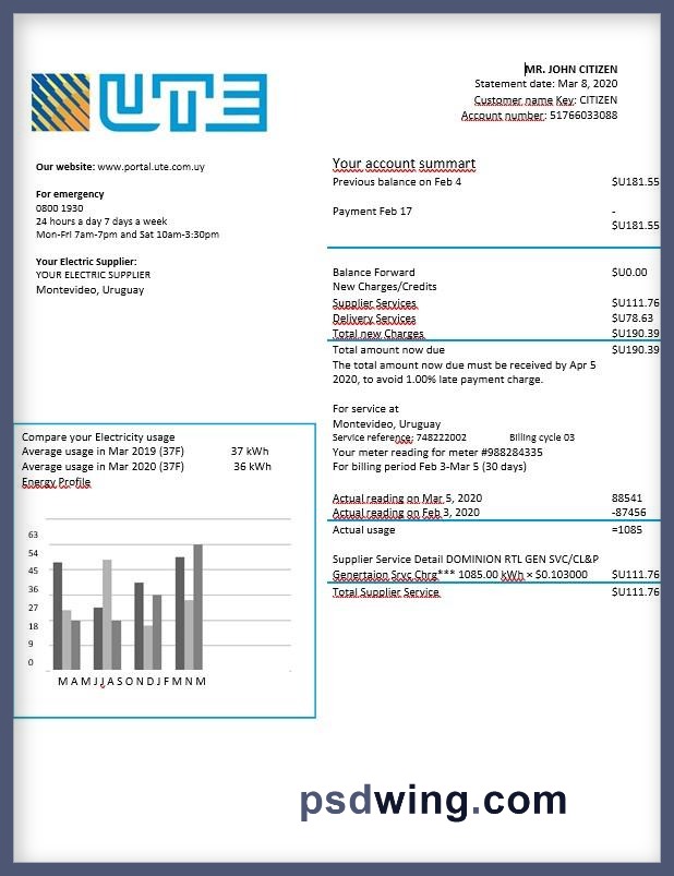 Uruguay UTE Electricity Bill